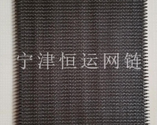 碳鋼人字網(wǎng)帶